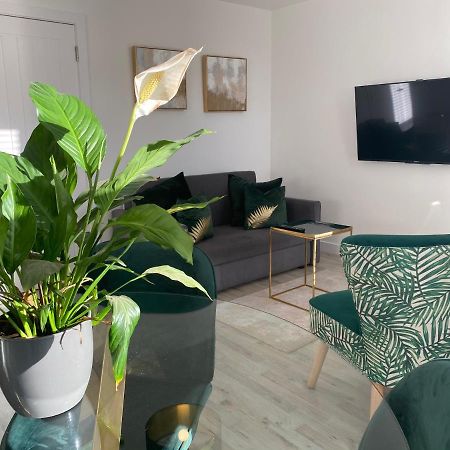 Stylish Pontcanna Flat Near City Centre คาร์ดิฟฟ์ ภายนอก รูปภาพ